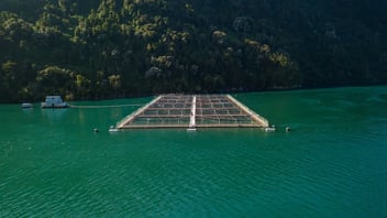 MOWI Achieves $3.7M in Dive Cost Savings Through Deep Trekker ROV Integration