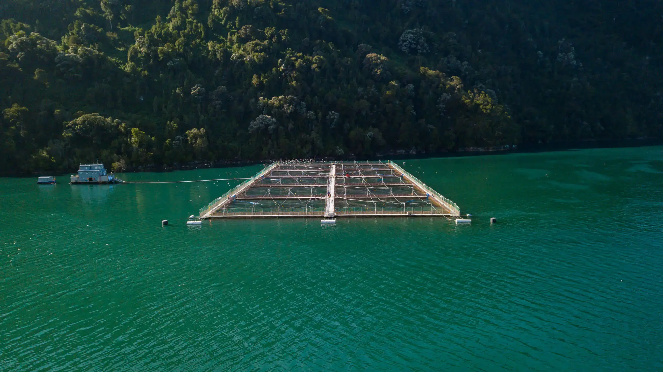 MOWI Achieves $3.7M in Dive Cost Savings Through Deep Trekker ROV Integration